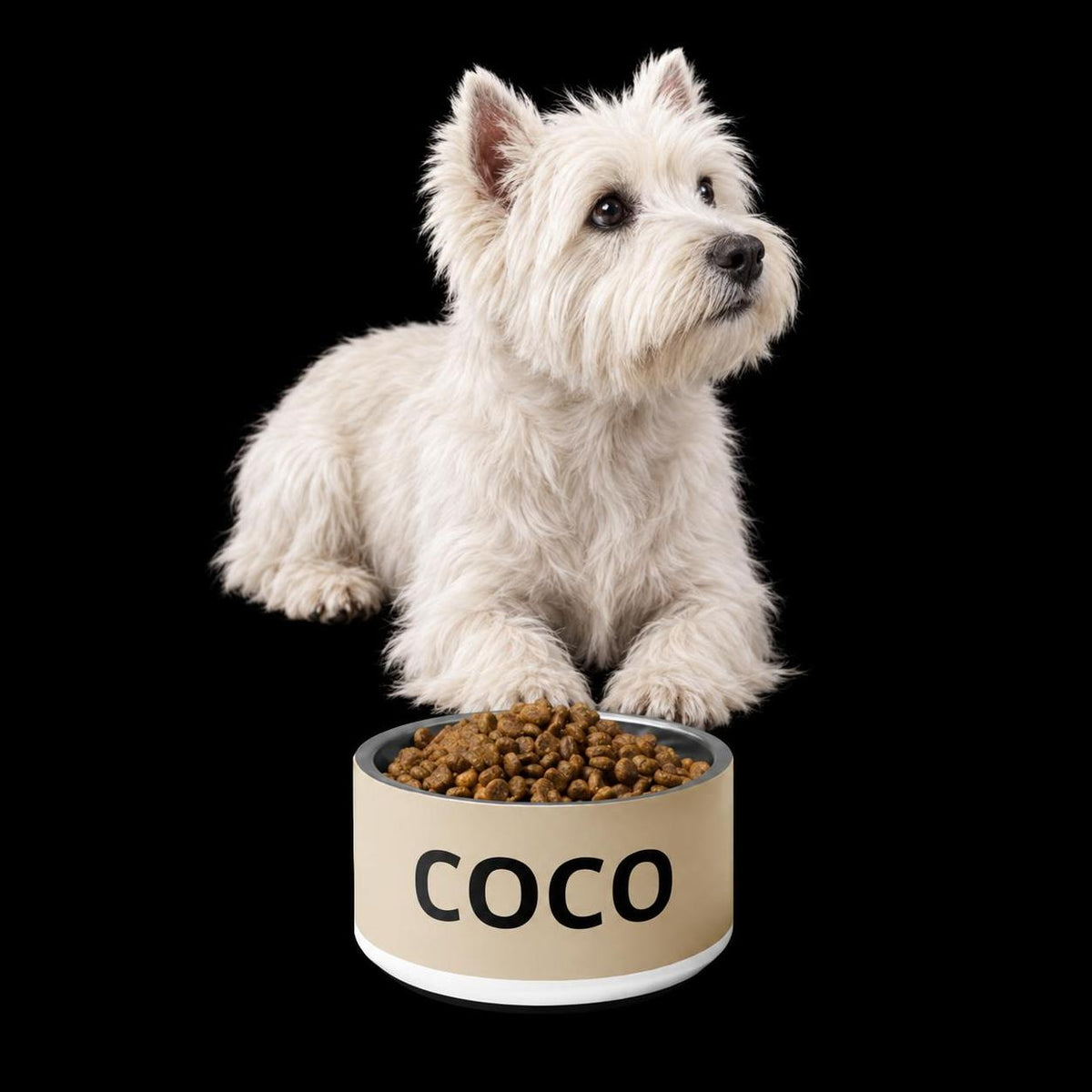 West Highland white terrier sitting behind a tan modern personalized dog bowl with the name Coco